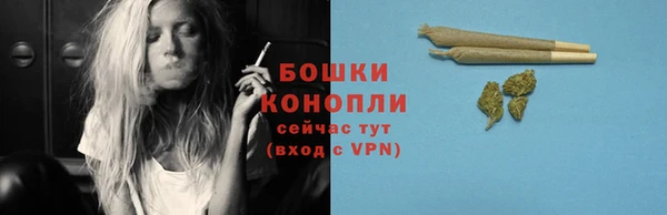 молекула духа Вязники